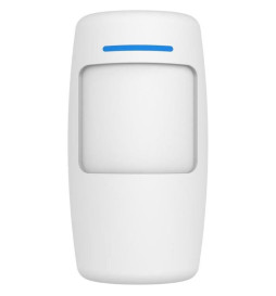 Wireless Motion Sensor Pet...