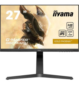 Ecran PC Gamer - IIYAMA...