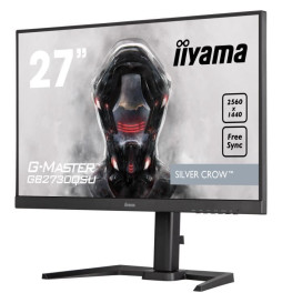 Ecran PC Gamer - IIYAMA...
