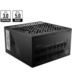 MSI MPG A1000G PCIE5 Bloc...