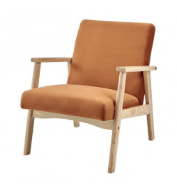 Fauteuil en Velours...