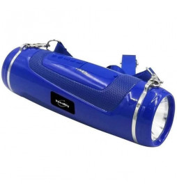 ENCEINTE LUMINEUSE TORCHES...