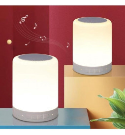 ENCEINTE PORTABLE LUMINEUSE...