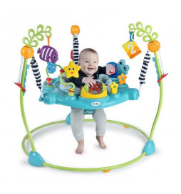 BABY EINSTEIN Ocean...