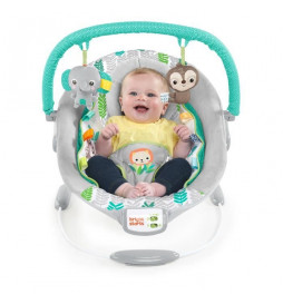 BRIGHT STARTS Transat bébé...