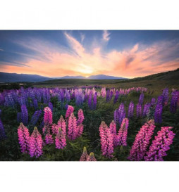 Puzzle 500 p Les lupins