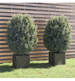 Jardinières d'extérieur 2...