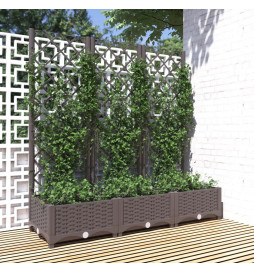 Jardinière avec treillis...