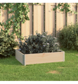Jardinière surélevée 60x80...