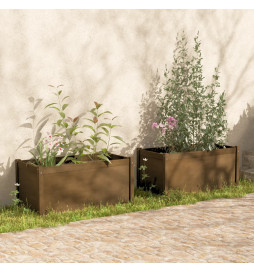 Jardinières 2 pcs Marron...