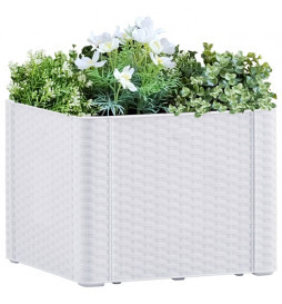 Lit surélevé de jardin avec...