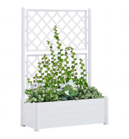 Jardinière avec treillis...