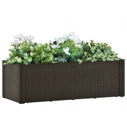 Lit surélevé de jardin avec...