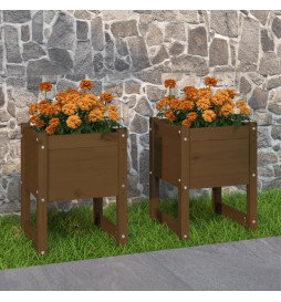 Jardinières 2 pcs Marron...