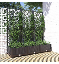 Jardinière avec treillis...