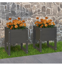 Jardinières 2 pcs Gris...