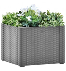 Lit surélevé de jardin avec...
