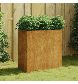 Jardinière 80x40x80 cm...
