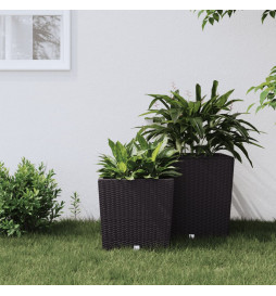 Jardinière et intérieur...