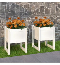 Jardinières 2 pcs Blanc...