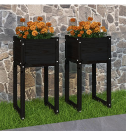 Jardinières 2 pcs Noir...