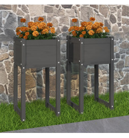 Jardinières 2 pcs Gris...