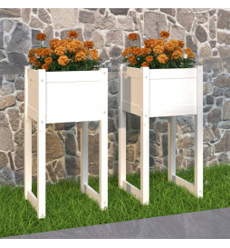 Jardinières 2 pcs Blanc...