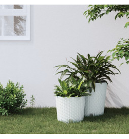 Jardinière et intérieur...