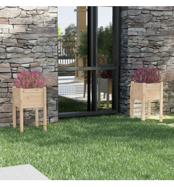 Jardinières d'extérieur 2...