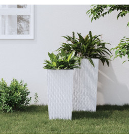 Jardinière et intérieur...