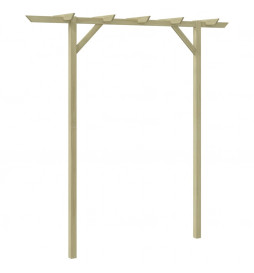 Pergola de jardin 200 x 40...