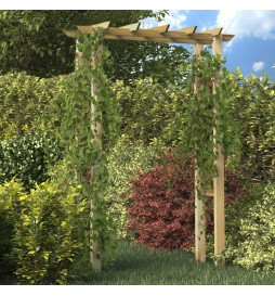 Arche pour rosiers 150 x 60...