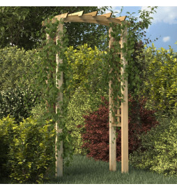Arche en treillis...