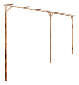 Pergola Bambou 385 x 40 x...