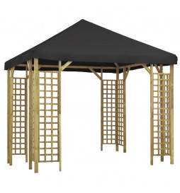 Belvédère 3x3 m Anthracite