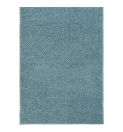 Tapis à poils courts...