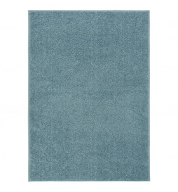 Tapis à poils courts...