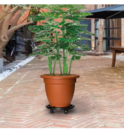 Chariots à plantes avec...