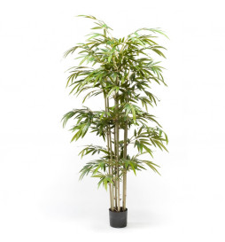 Emerald Bambou artificiel...