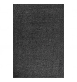 Tapis shaggy à poils longs...