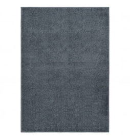 Tapis à poils courts...