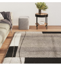 Tapis de salon 160x230 cm...