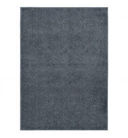 Tapis à poils courts...