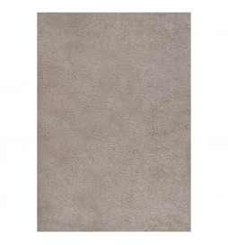 Tapis shaggy à poils longs...