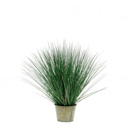 Emerald Herbe sauvage...