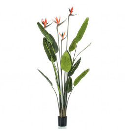 Emerald Plante artificielle...