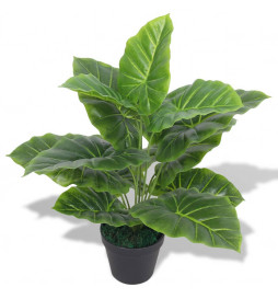 Plante Taro artificielle...
