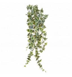 Emerald Buisson de lierre...