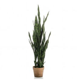 Emerald Plante artificielle...