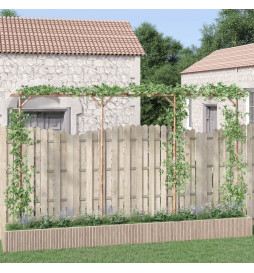Pergola Bambou 385x40x205 cm